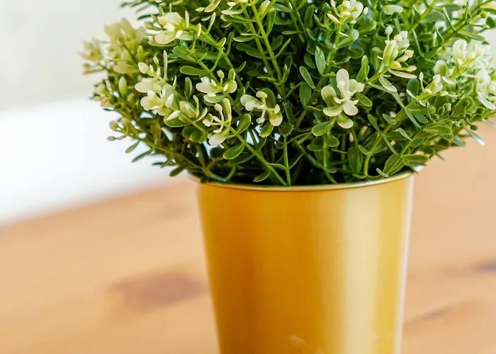 게스트하우스 Cozy & Air Conditioning & Large *