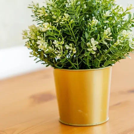 Casa de hóspedes Cozy & Air Conditioning & Large *